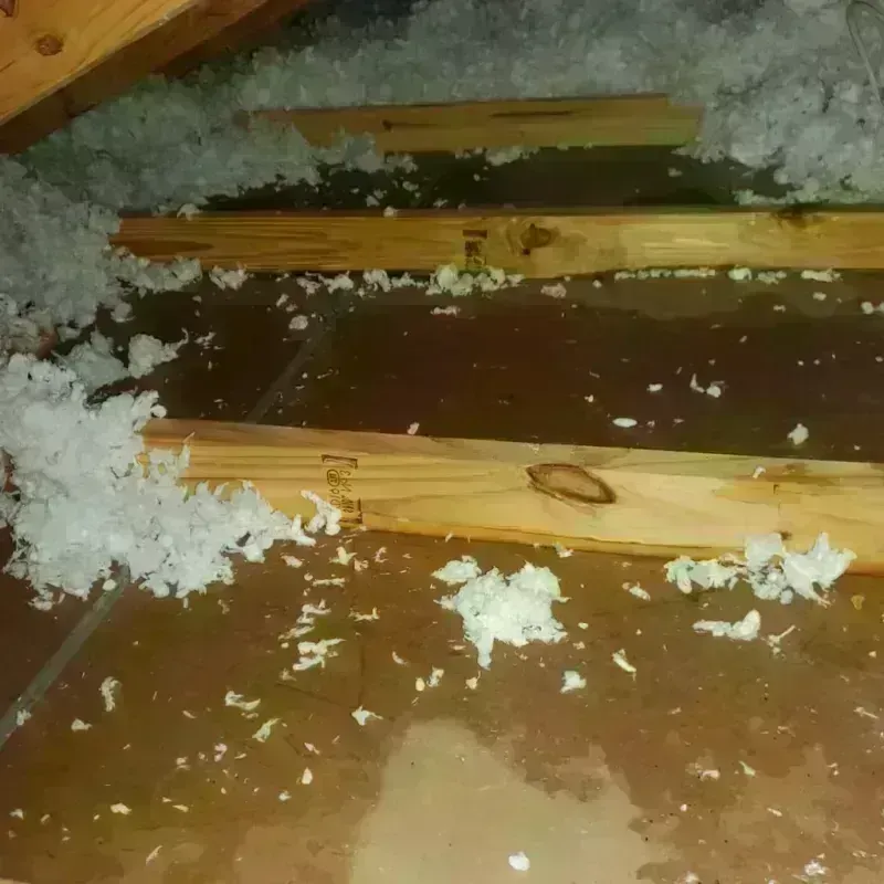 Attic Water Damage in Acton, ME